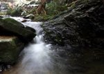 IMG_3008a