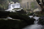 IMG_3017a