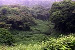 IMG_3039a