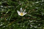 IMG_3323a