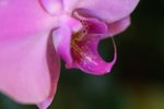 IMG_3328a