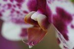 IMG_3355a