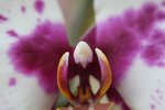 IMG_3357a