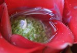 IMG_3363a