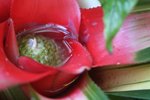 IMG_3363b