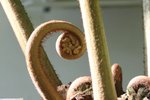 IMG_3399a