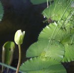 IMG_3409a