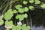 IMG_3411a