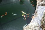 IMG_3671a