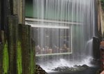 IMG_3701a