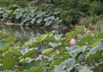 IMG_3868a