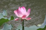 IMG_3893a
