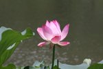 IMG_3894a