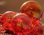 cc_IMG_7464