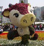 IMG_1387a