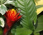 IMG_1426a