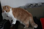 IMG_0709a