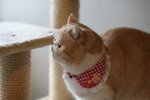 IMG_3493a