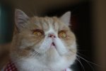 IMG_3524a