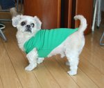 IMG_0238a