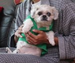 IMG_0249a