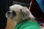 IMG_0267a