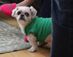 IMG_0269a