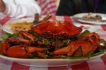 IMG_0340a