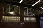 IMG_0350a
