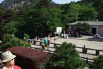 2007_05250266