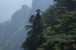 2007_05250274