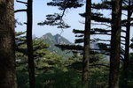 2007_05250281