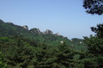 2007_05250282