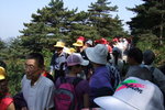 2007_05250285