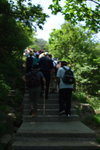 2007_05250290