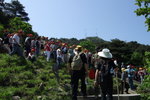 2007_05250291