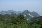 2007_05250299