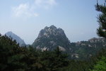 2007_05250309
