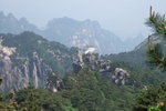 2007_05250337