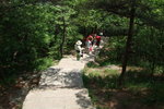 2007_05250376