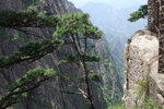 2007_05250379