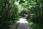 2007_05250380