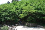 2007_05250386