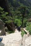 2007_05250449