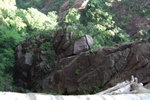 2007_05250461