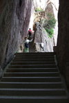 2007_05250464