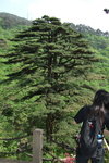 2007_05250468
