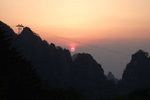 2007_05250470