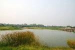 wetland22