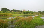 wetland24